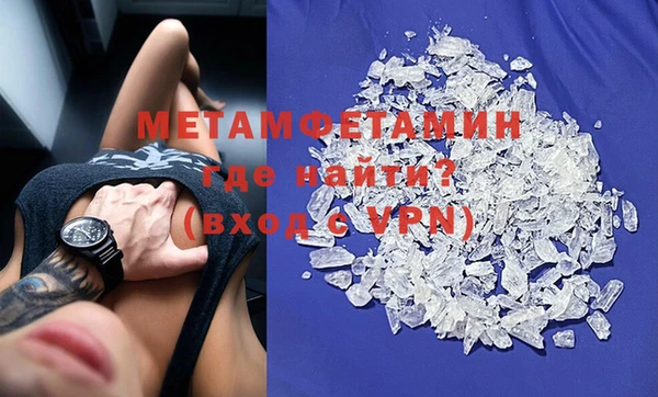 прущие грибы Верхний Тагил