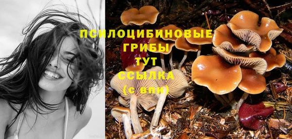таблы Верея
