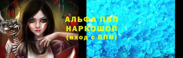 прущие грибы Верхний Тагил