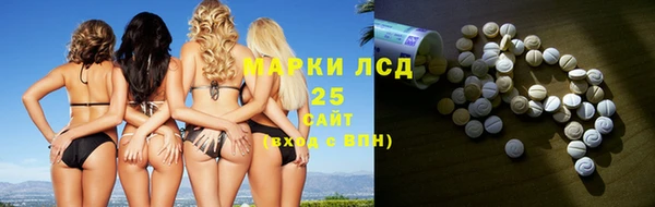 прущие грибы Верхний Тагил