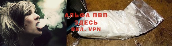 прущие грибы Верхний Тагил