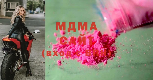 прущие грибы Верхний Тагил